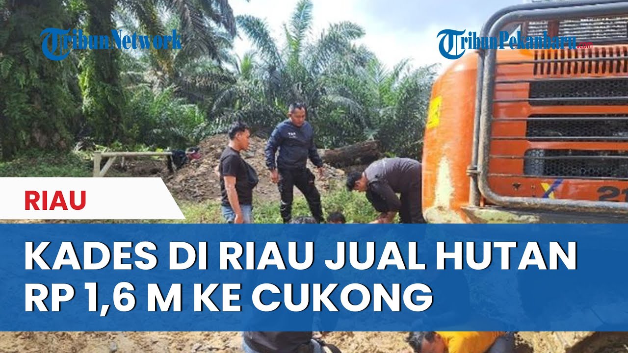 SOSOK Kades di Riau-Sekdes Jual 150 H Hutan Nasional Rp 1,6 M ke Cukong Sawit, Beakhir di Penjara
