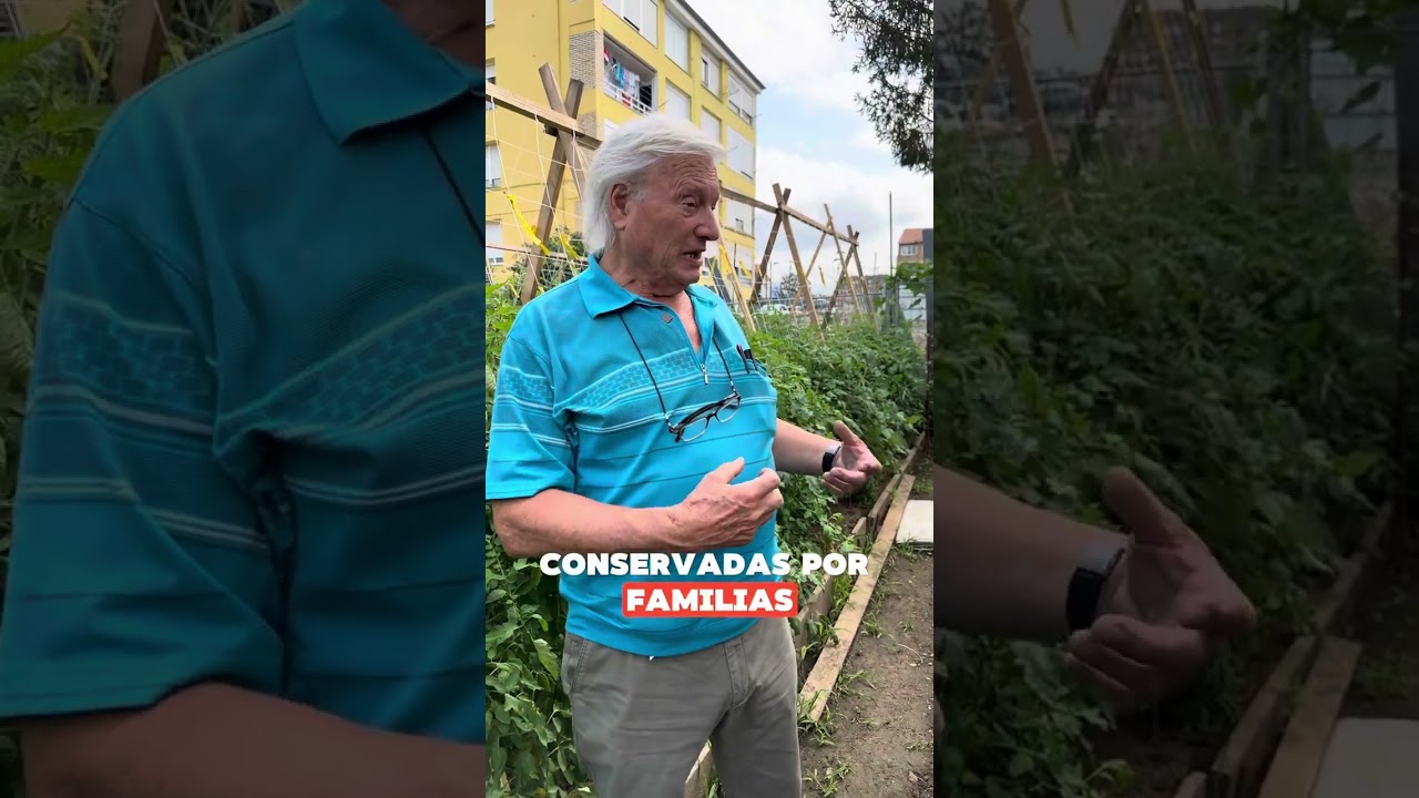 🍅 IV Festival del Tomate de #Cantabria 2024 🍅