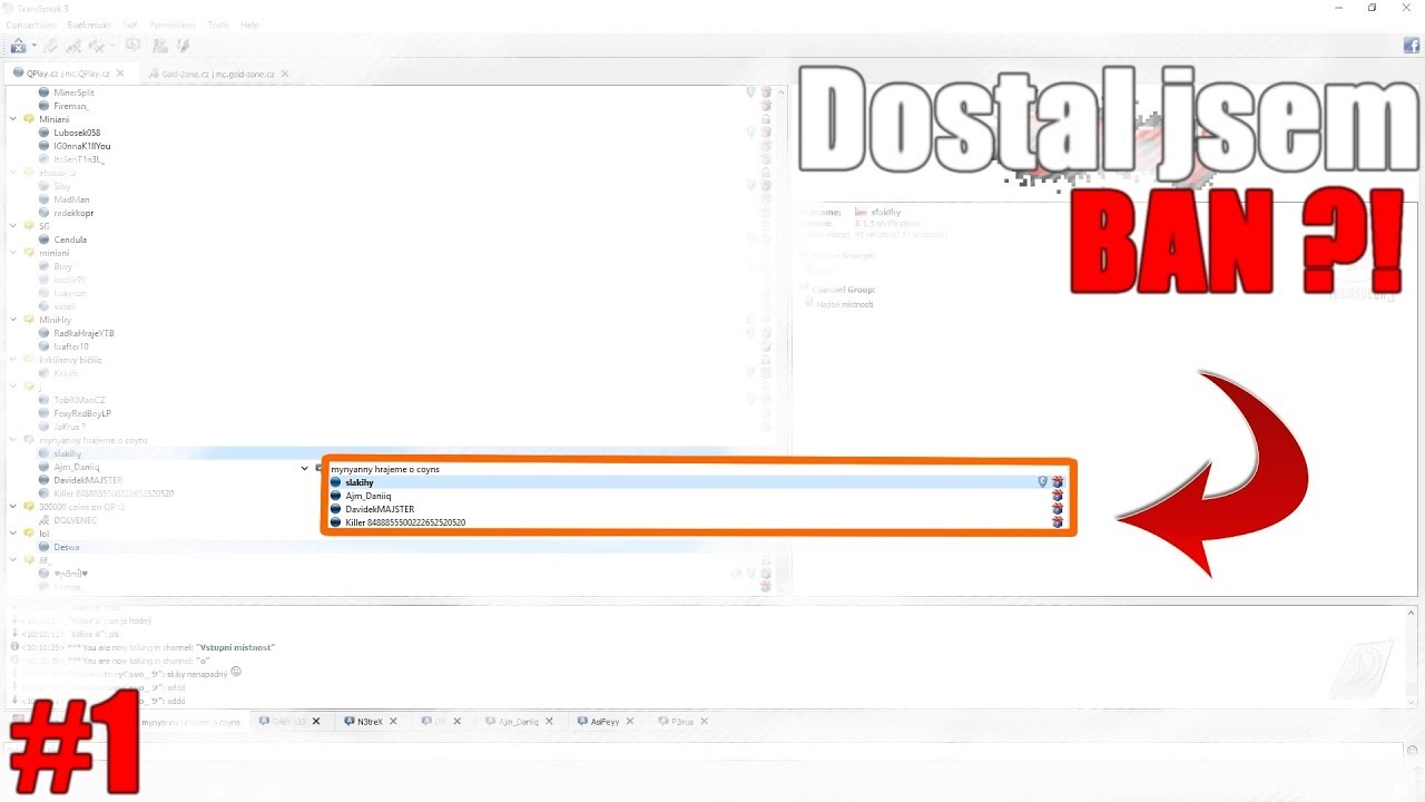 Trollení hráčů na QPLAY (ts3) #1