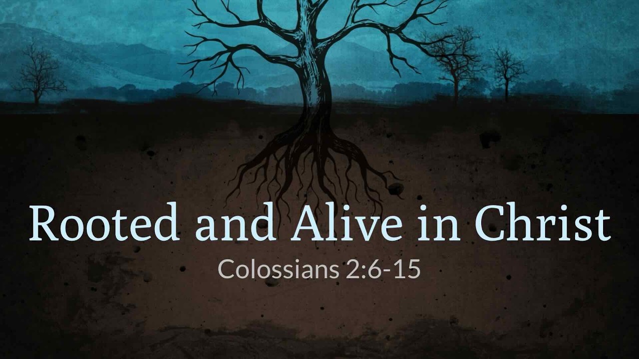 February 15, 2026 | Alive and Rooted in Christ | Colossians 2:6-15