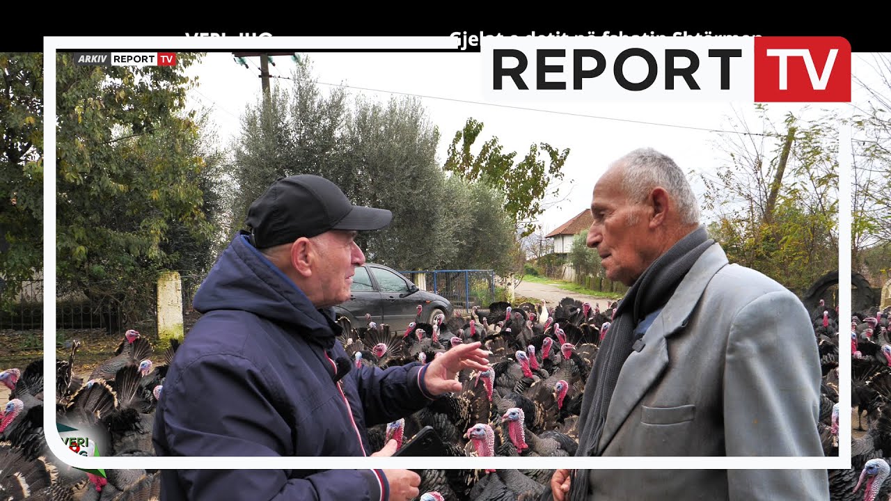 Veri Jug - Gjelat e detit në fshatin Shtërmen