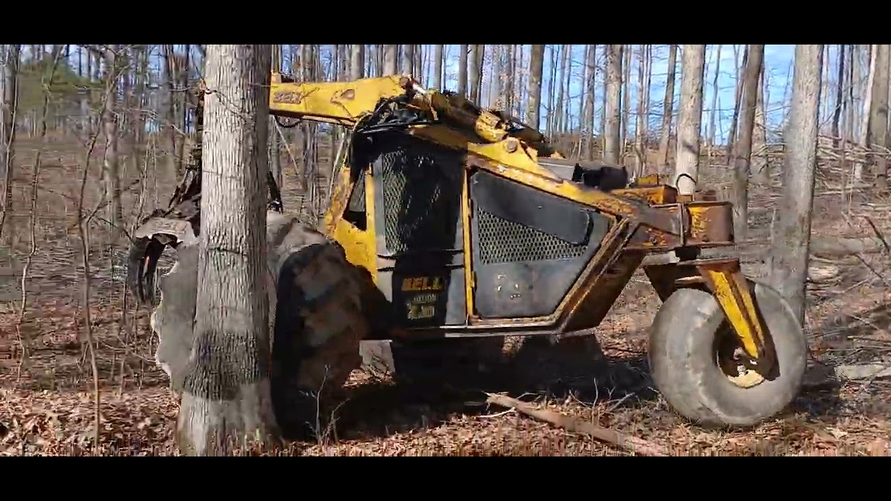 bell feller buncher, if you like the video please subscribe