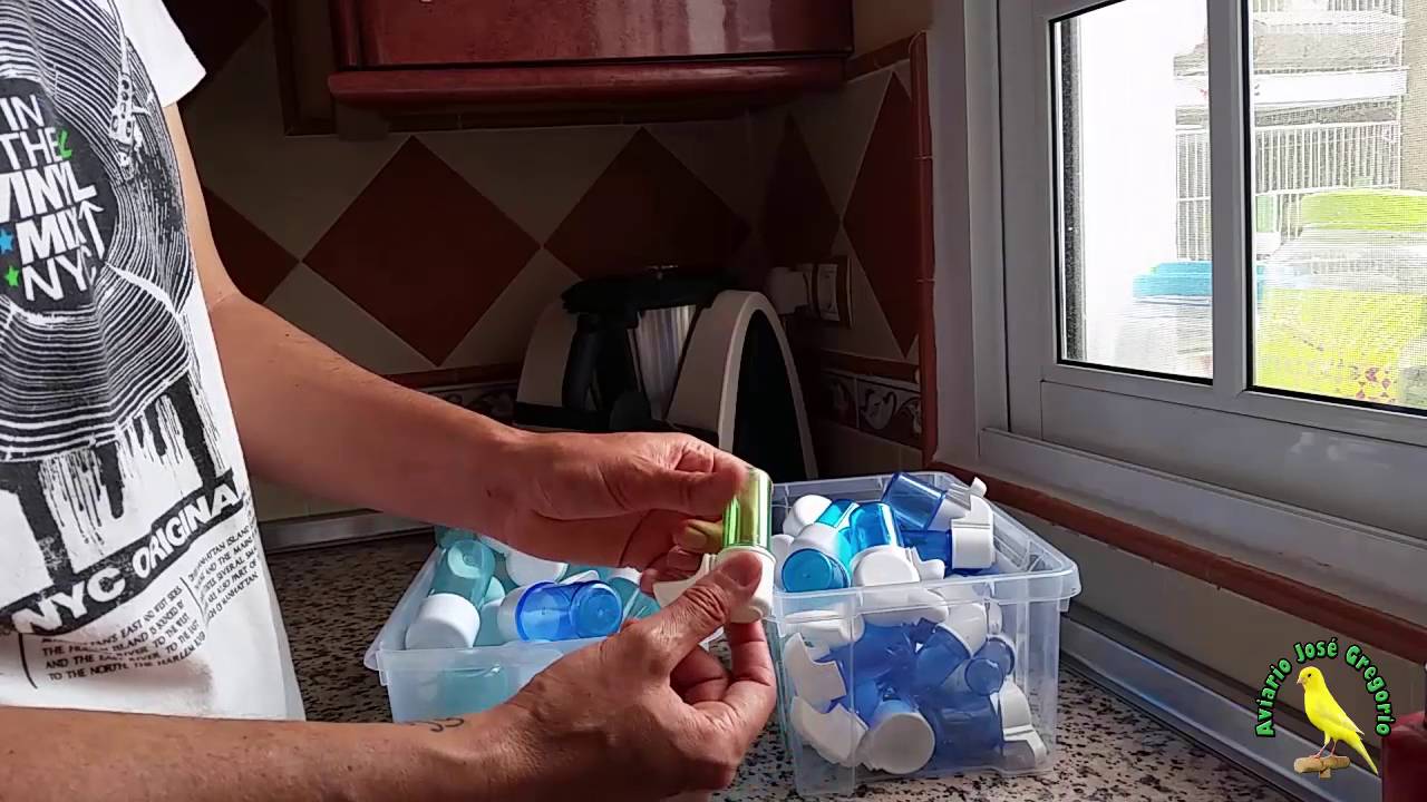 Cría del canario (Bebederos, uso y recomendaciones)
