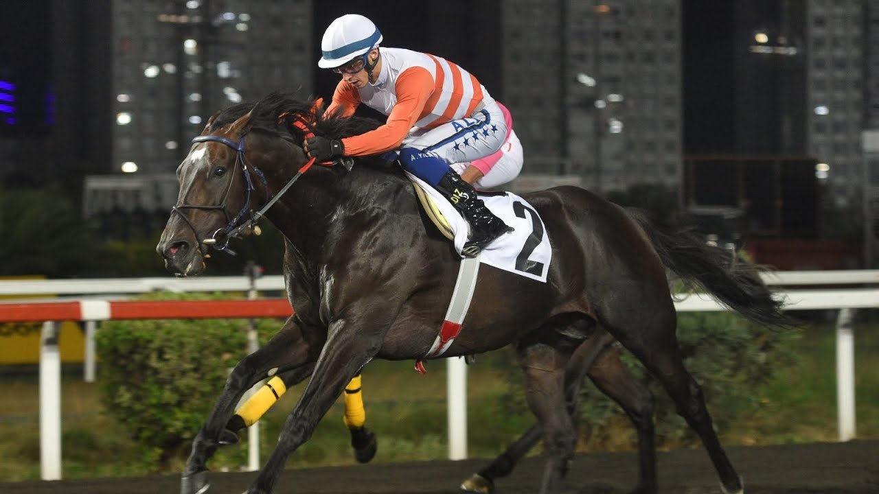 ULUSLARARASI FRANCE GALOP ANADOLU KOŞUSU  2025 