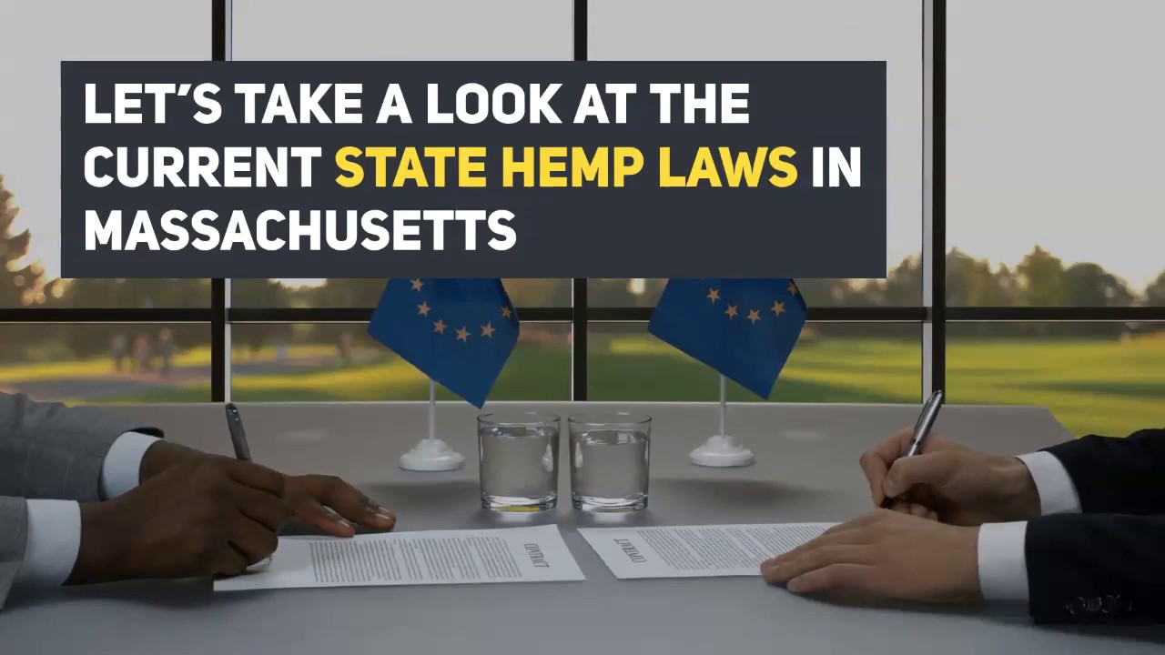 Buy Hemp Flower In  Massachusetts- Best Strains and Prices