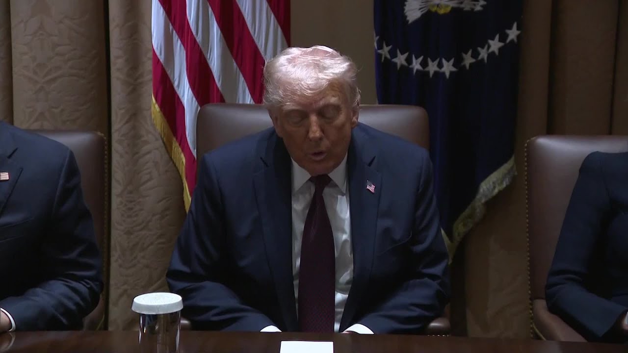 Trump Expects to Be &lsquo;Satisfied&rsquo; With DOGE Cuts in Few Months: Full Cabinet Remarks