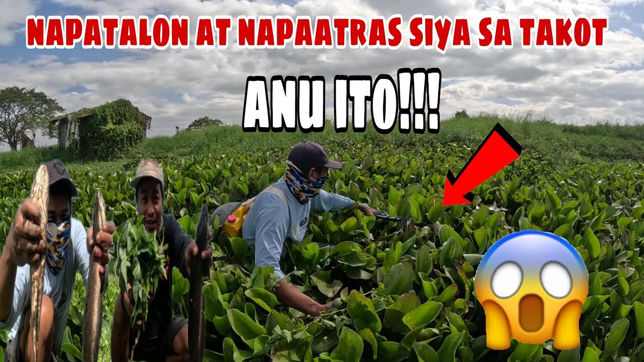 Napatalon at Napaatras sa takot sa nilalang na ito?😱