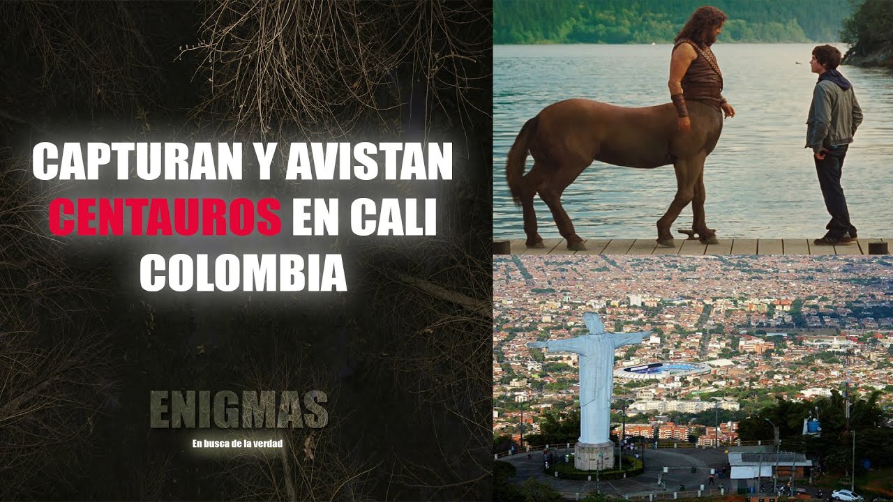 Capturan CENTAUROS en CALI, COLOMBIA