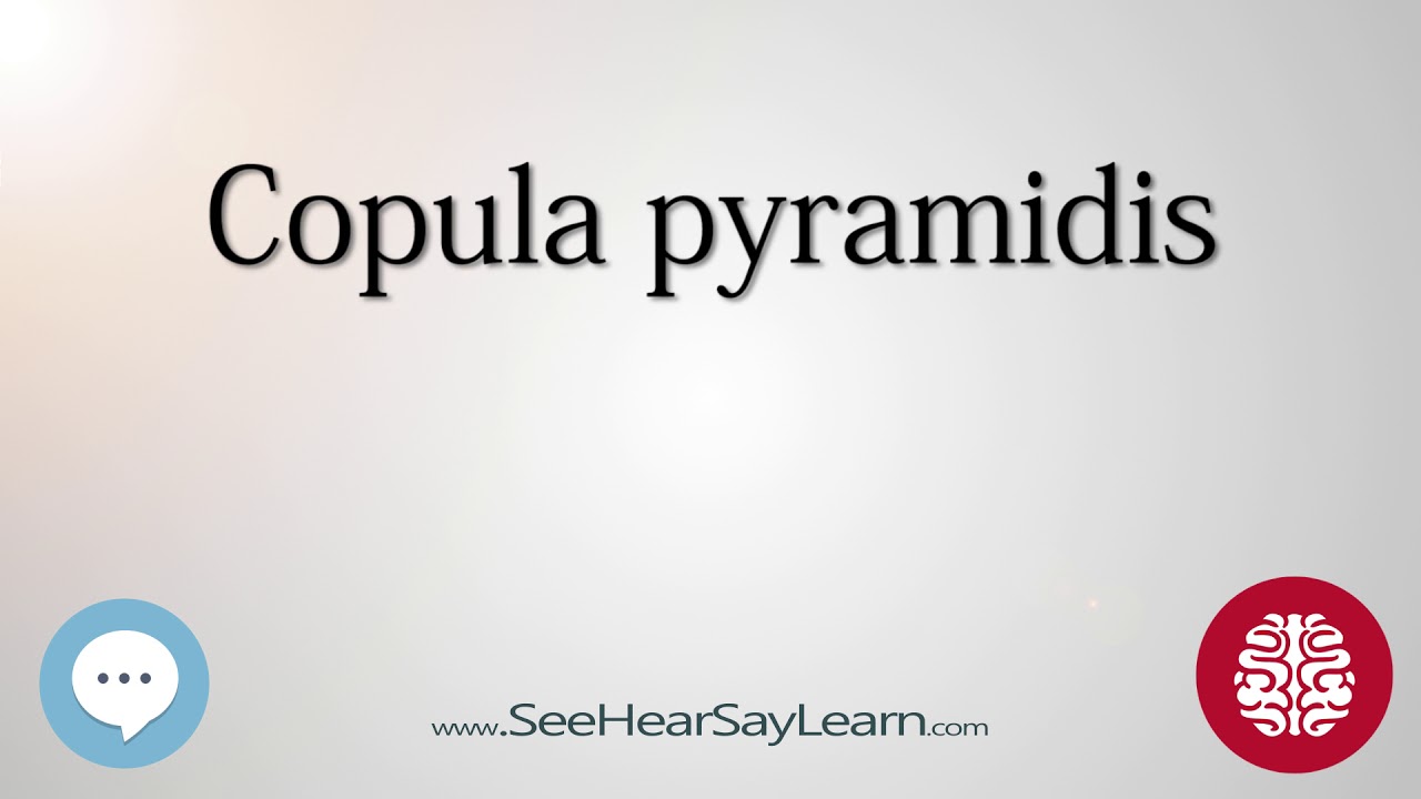Copula pyramidis   Anatomy of the Brain   SeeHearSayLearn 🔊