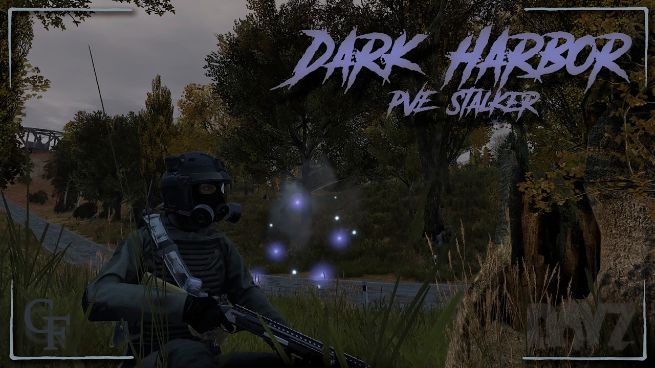 DAYZ PVE | ПРОЕКТ DARK HARBOR Stalker:  ИСТОРИЯ ВЫЖИВАНИЯ