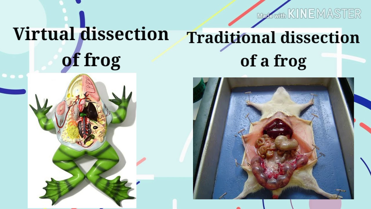 INSTRUCTIONAL SOFTWARE