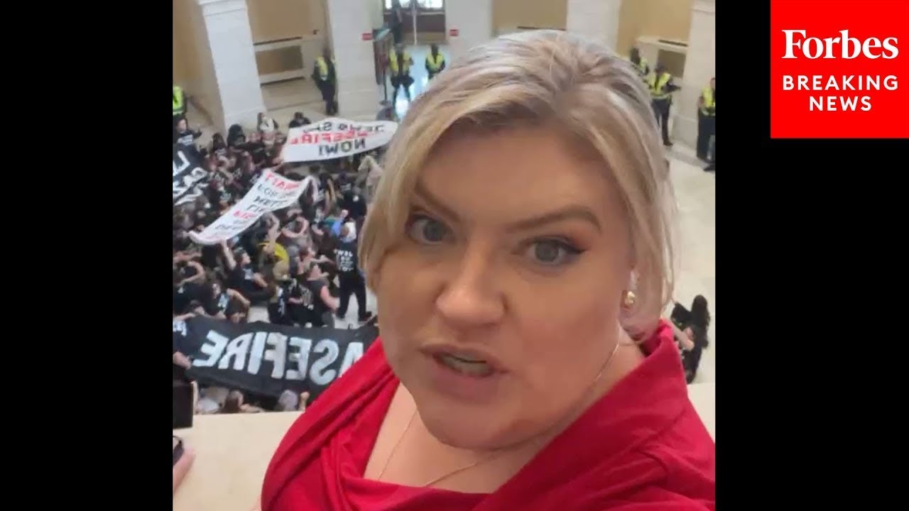 JUST IN: Kat Cammack Livestreams 'Chaos And Pandemonium' Of Pro-Ceasefire Protest In Cannon Building