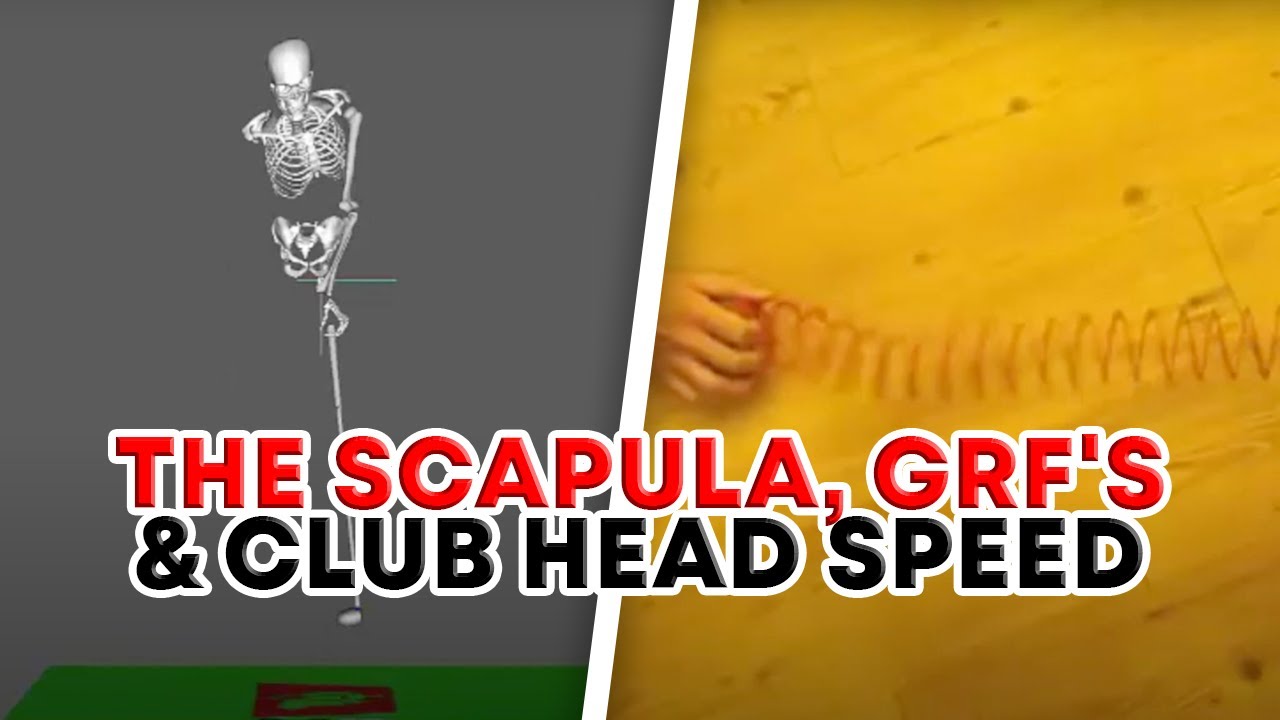 The scapula, GrF's and club head speed | Bull3D Golf Academy