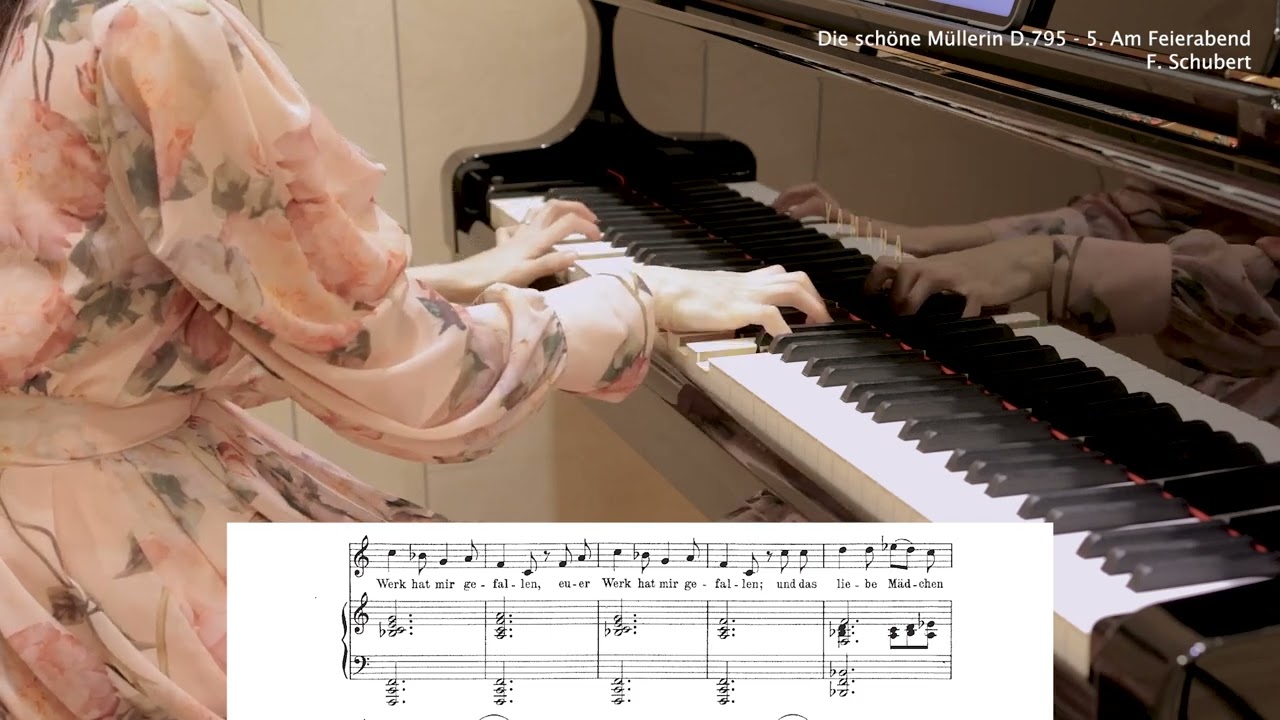 Am Feierabend no.5 (a minor) 