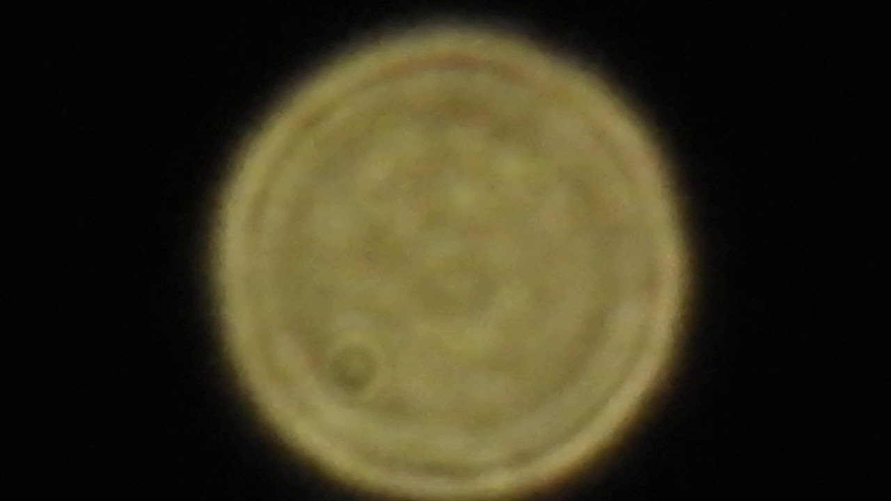 4/15/20 VENUS
