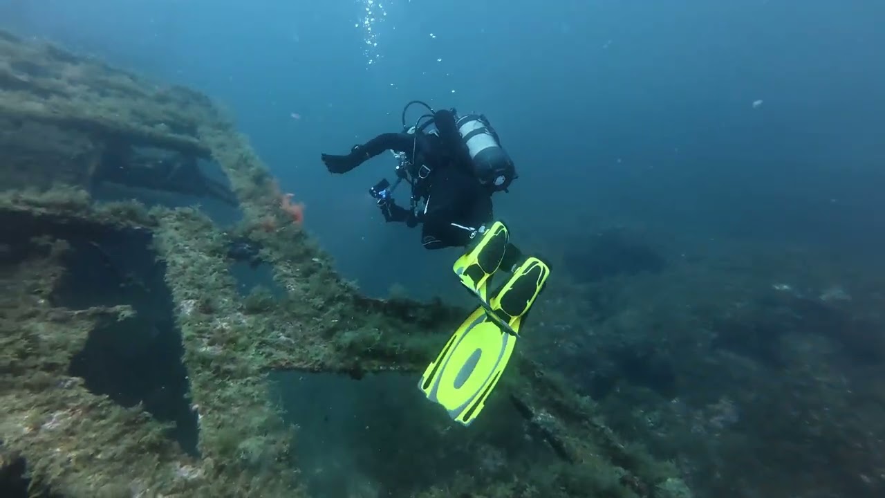 Boreas pecio🛳️ en Palamós Costa Brava, Girona #diving #wreck #costabrava 