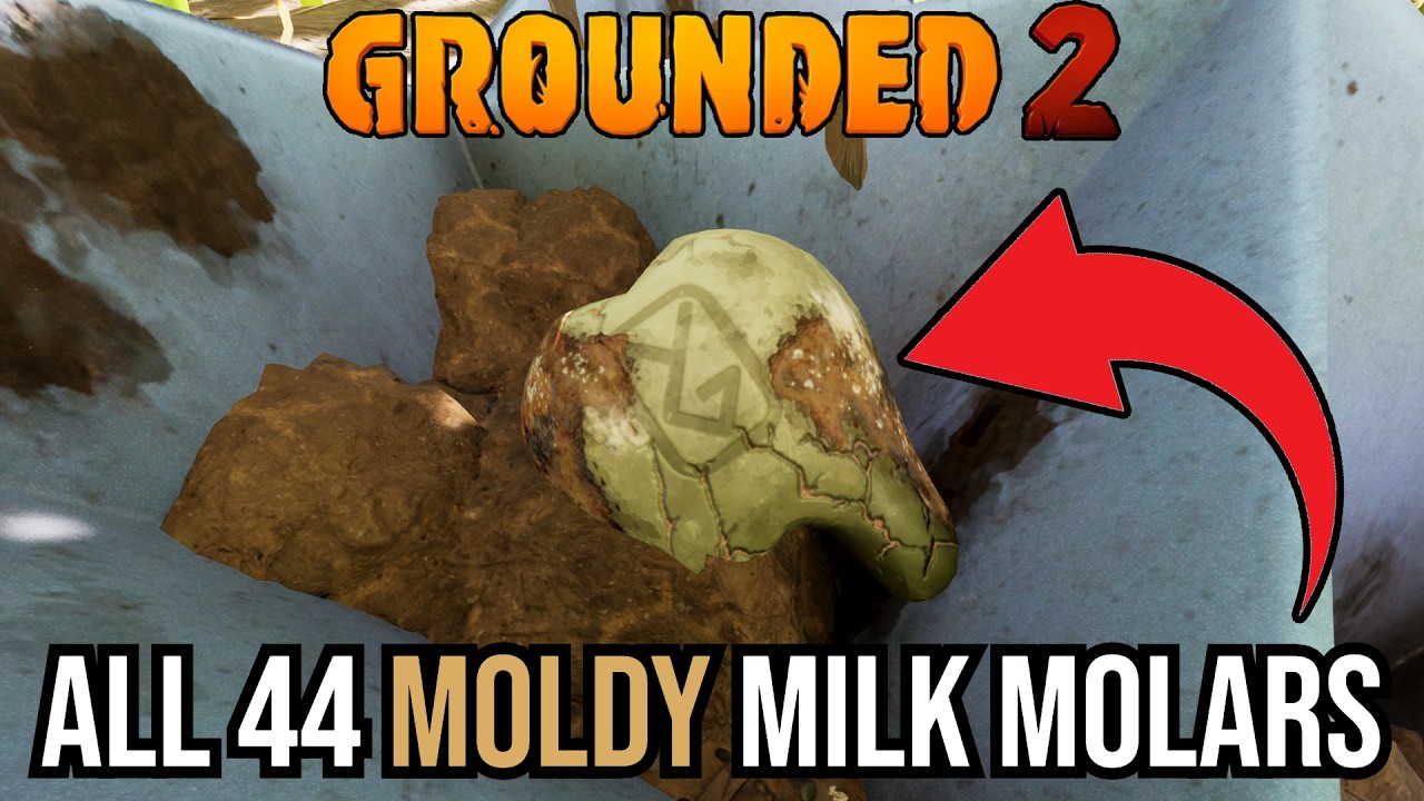 Все 44 заплесневелых молочных зуба в обновлении Grounded 2 &laquo;Победи жару&raquo;
