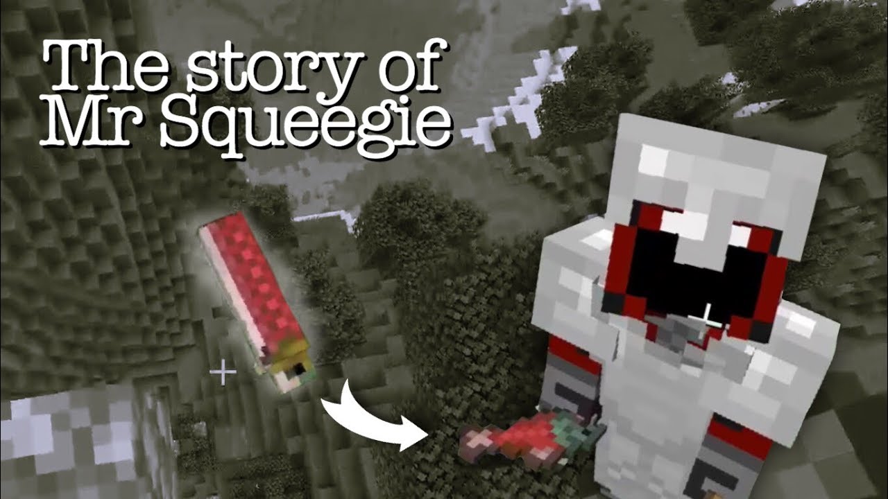 The story of Mr Squeegie