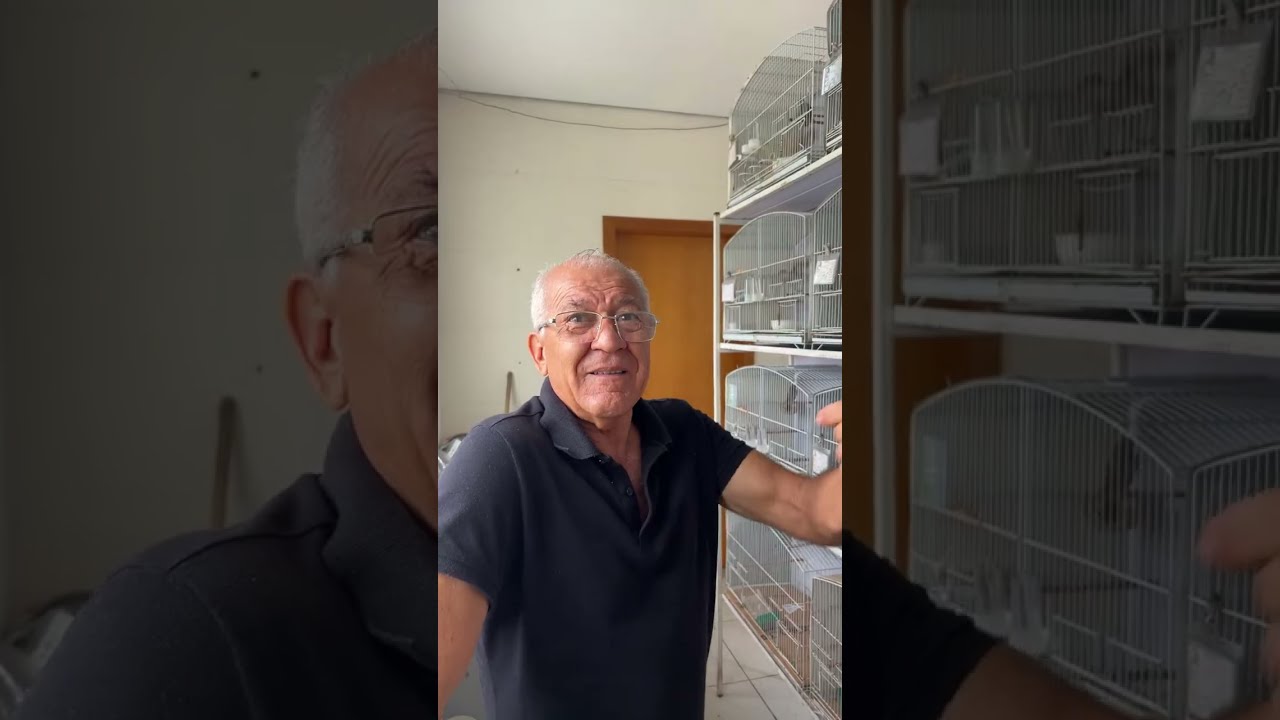 TUBIRAHY JUNIOR está ao vivo!