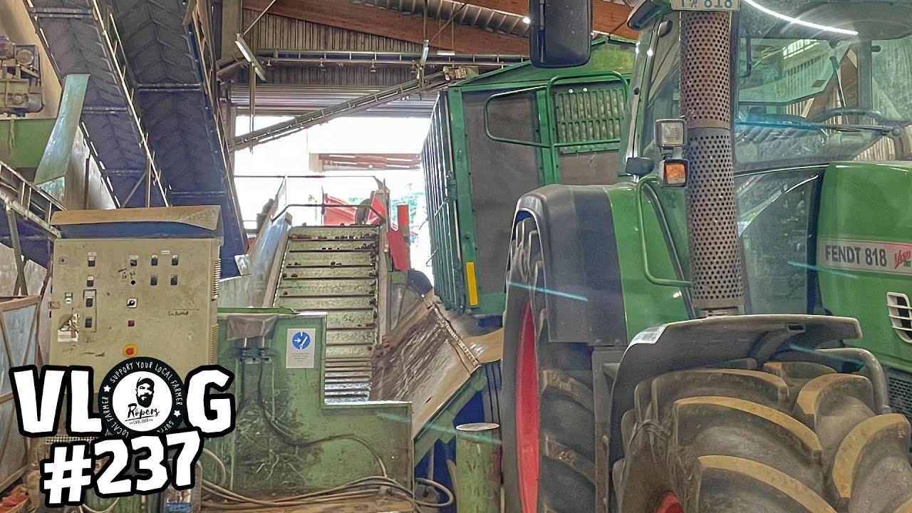 vLog237: Kartoffeln liefern mit dem Fendt 818 und Agroliner