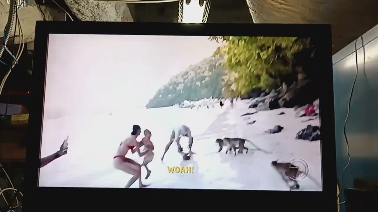 Monkey's gone wild. On Inside Edition.