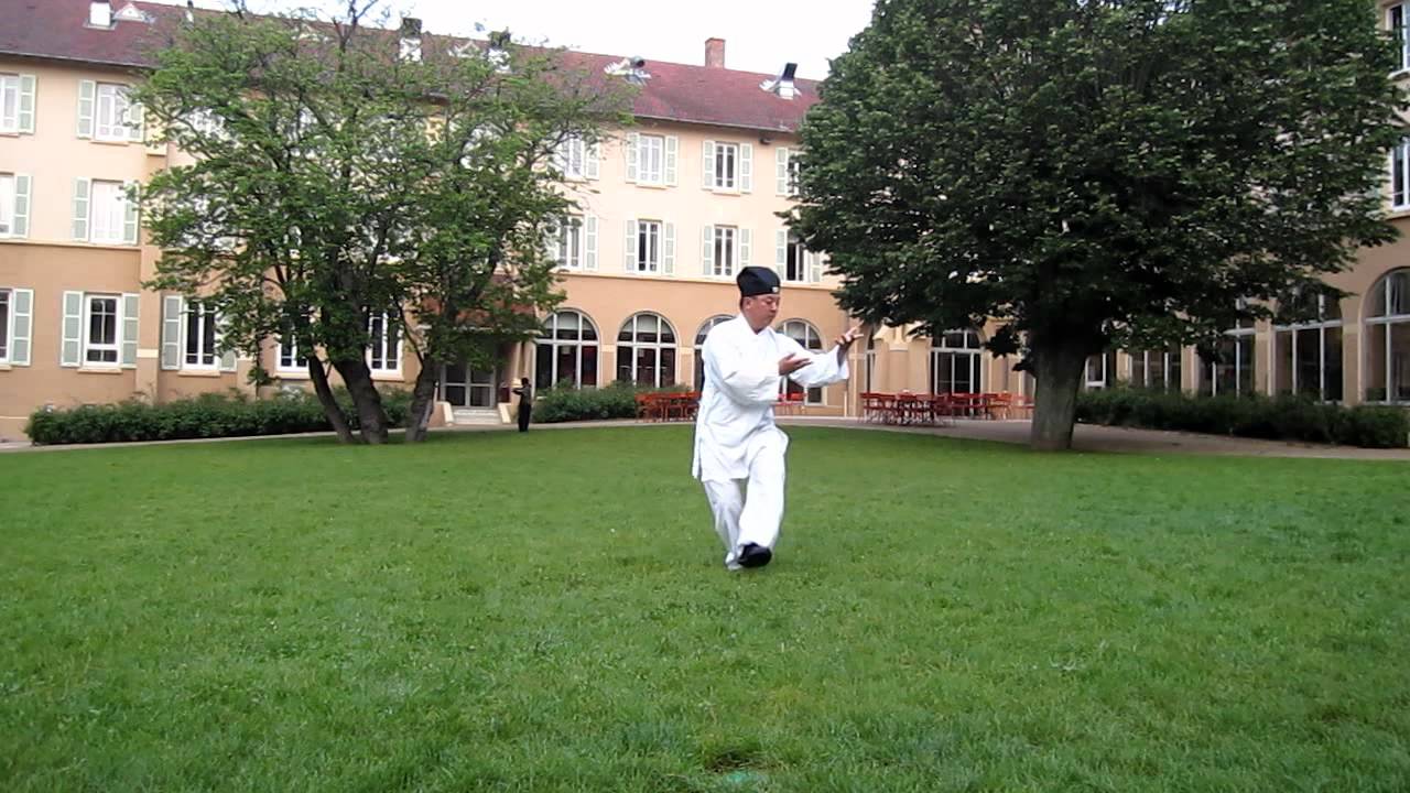 WuDang Five animals Qi Gong Dragon龙 froms by master chenlisheng