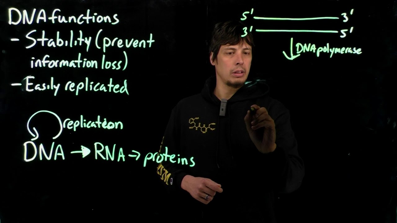 Topic 10.11 - Double stranded DNA and replication