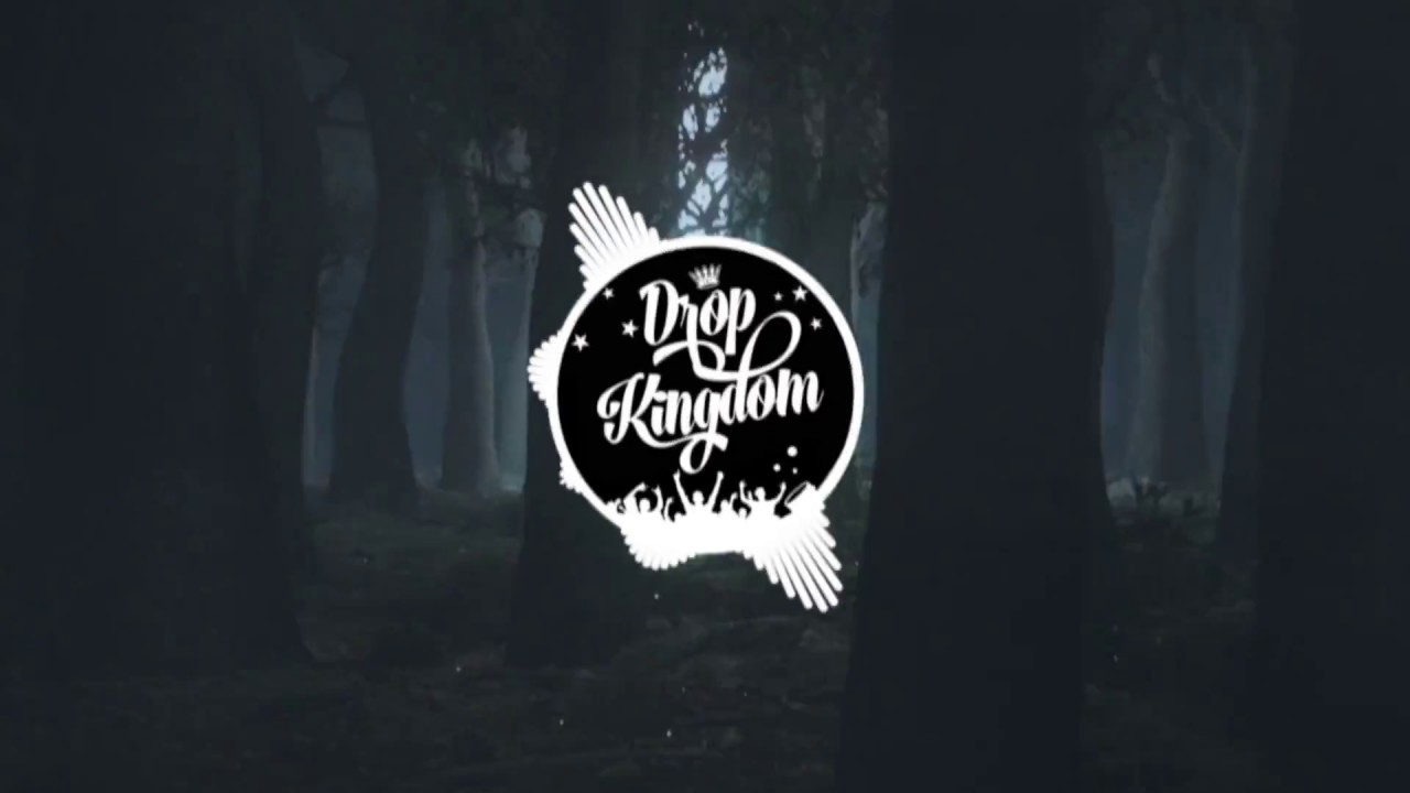 Skrillex - Scary Monsters & Nice Sprites ( Squalzz Remix )