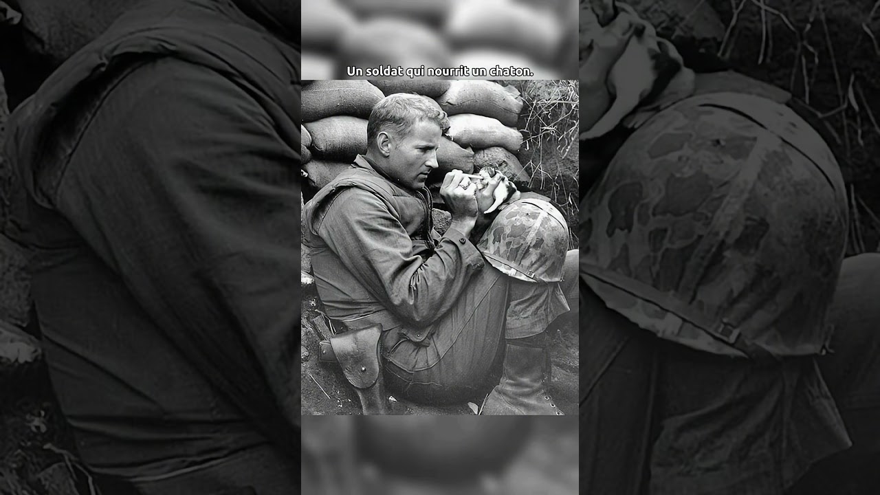 Photos 😱#photography #photo #history #foryou #edit #shortvideo #viral #abonnetoi #shorts