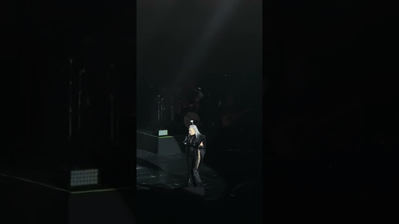 Erdoğan’la ne konuştu? Hande Yener’in ayakta alkışlanan konuşması Harbiye 08.10.2024