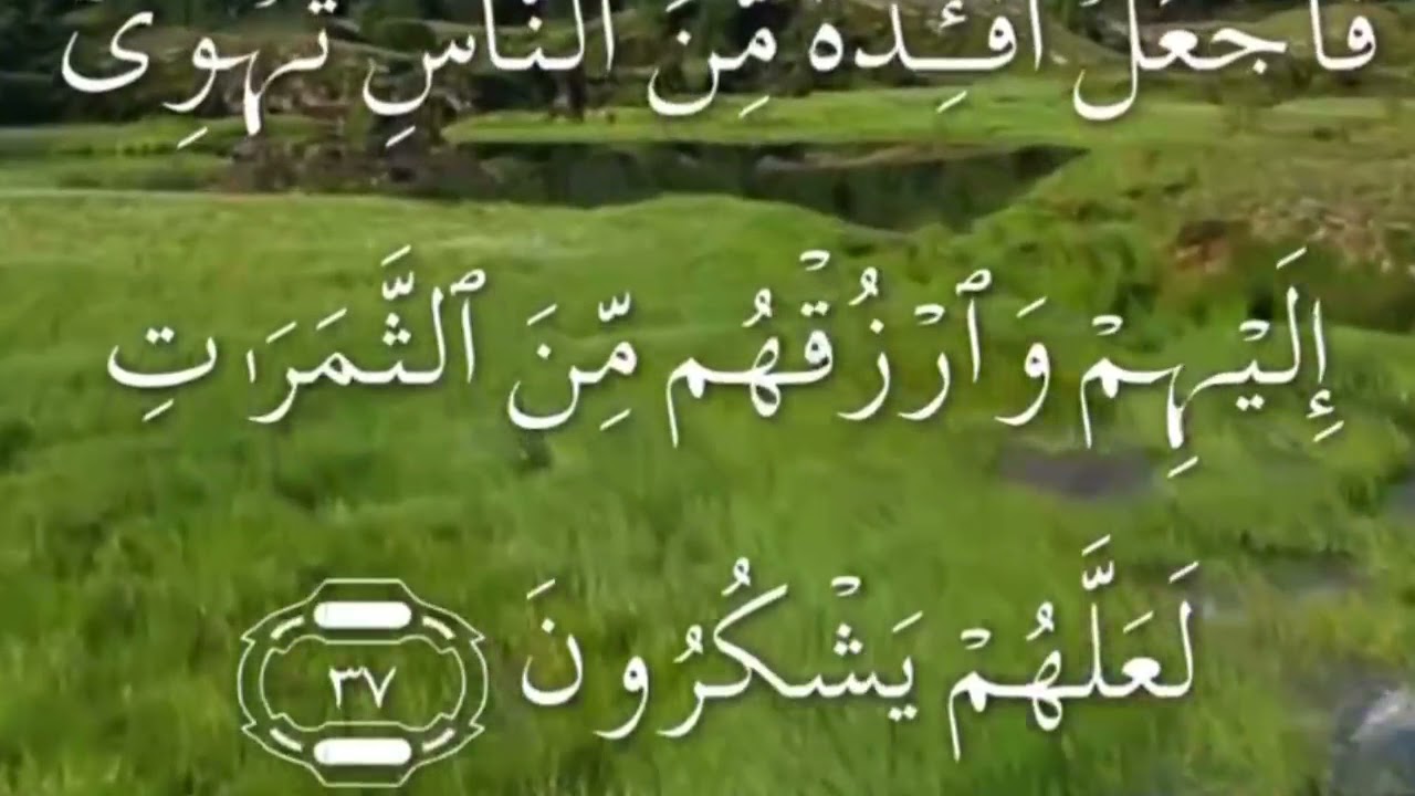 سورة ابراهيم ٢٦٠ مكتوبة مكررة بصوت عذب لسعد الغامدي