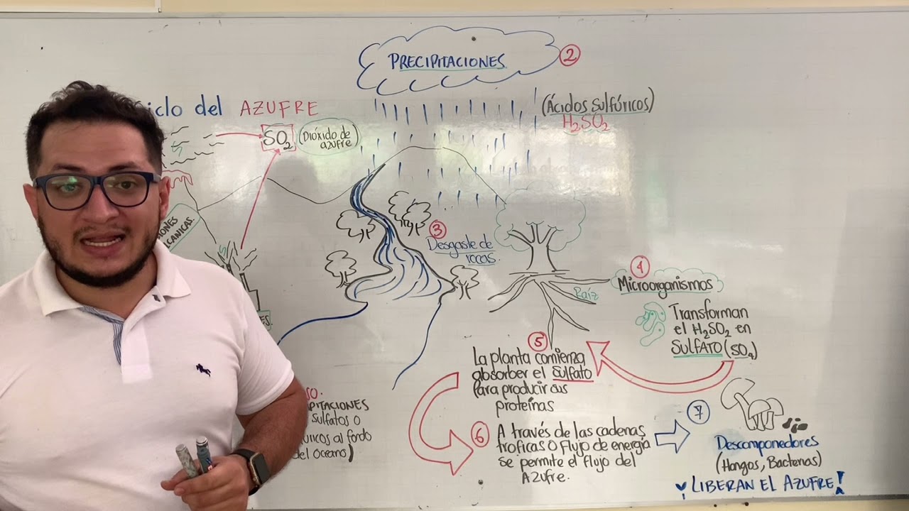 CICLO DEL AZUFRE