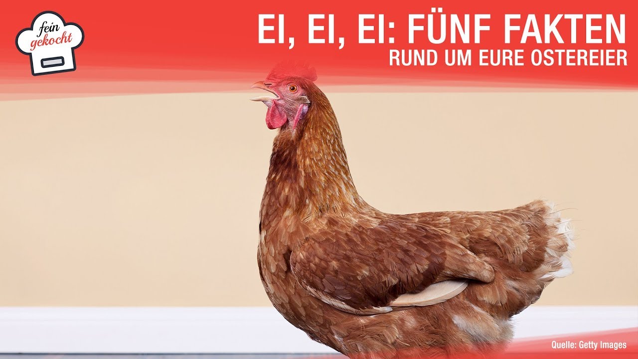 Ei, Ei, Ei: F&uuml;nf Fakten  rund um eure Ostereier