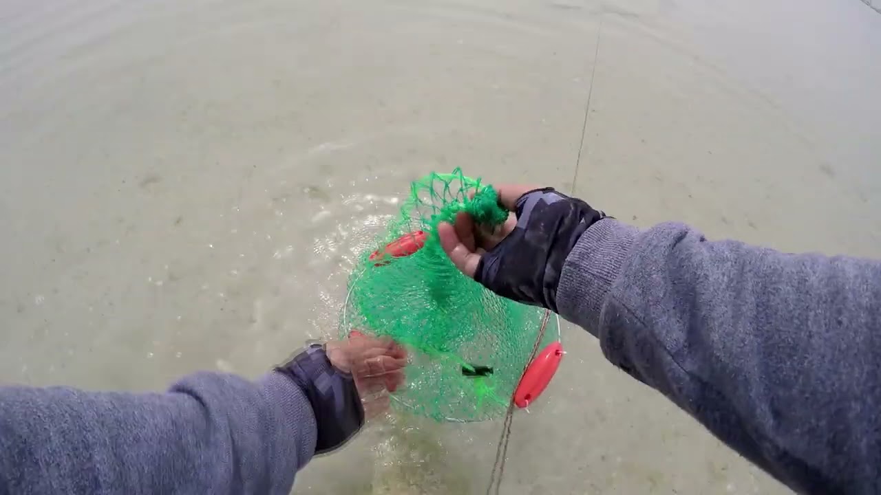 Fishing Spot#6 Mangrove Village Episode 10 Bonus Catch clips