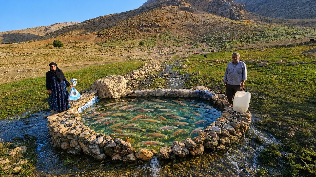 Nomadic life far from civilization | Building ponds and raising fish in the Zagros Mountains🏞🐟