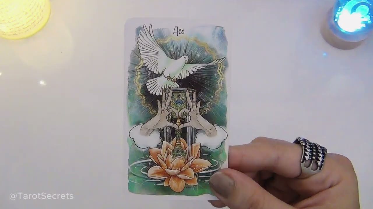 💝 O seu NOVO Crush / Paquera PENSA & SENTE isso por você | Tarot