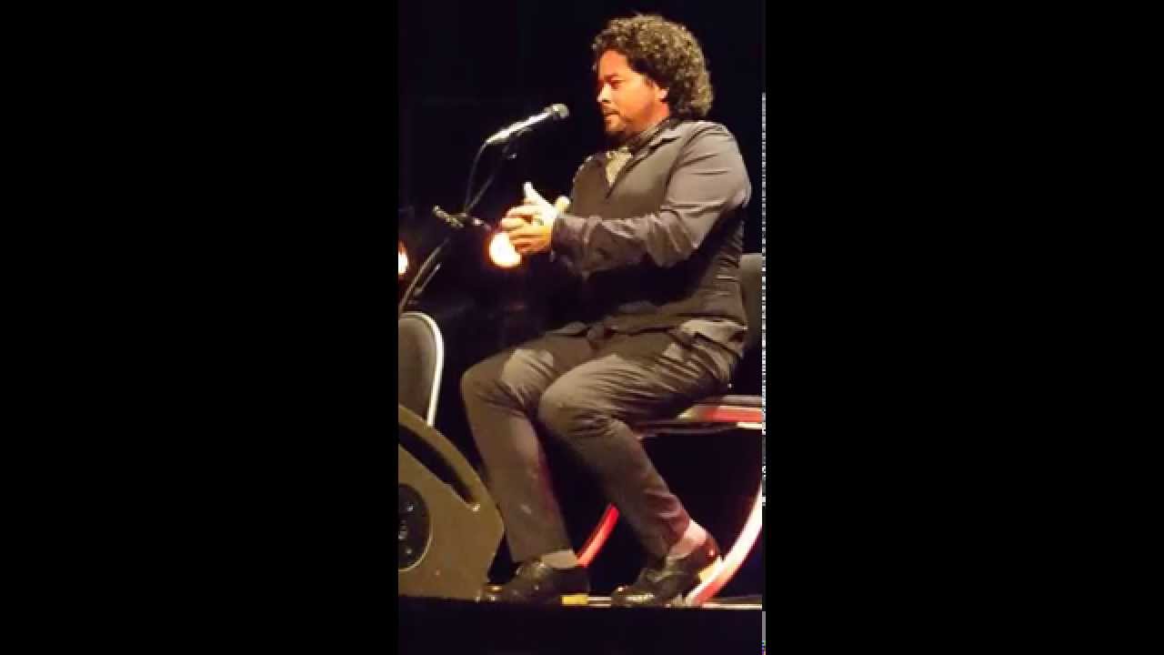 Buleria-Vicente Amigo-Concert Montpellier 14 Octobre 2015