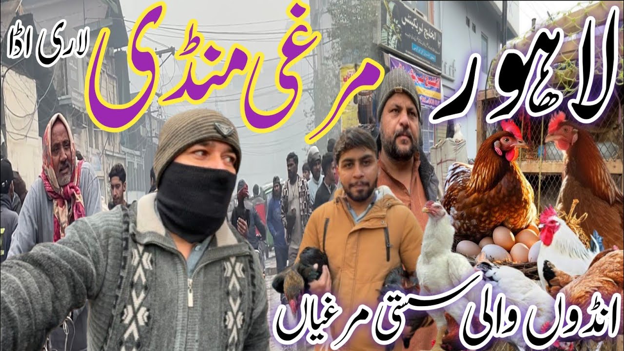 Lahore Murghi Mandi Lari Adda Badami Bagh Sunday Bazzar Latest Price Update January 2025 Pakistan