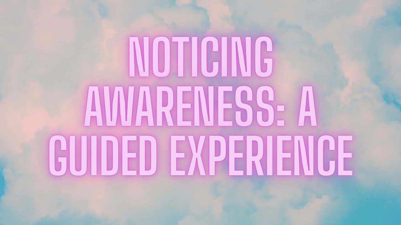 Noticing Awareness Guided Experience