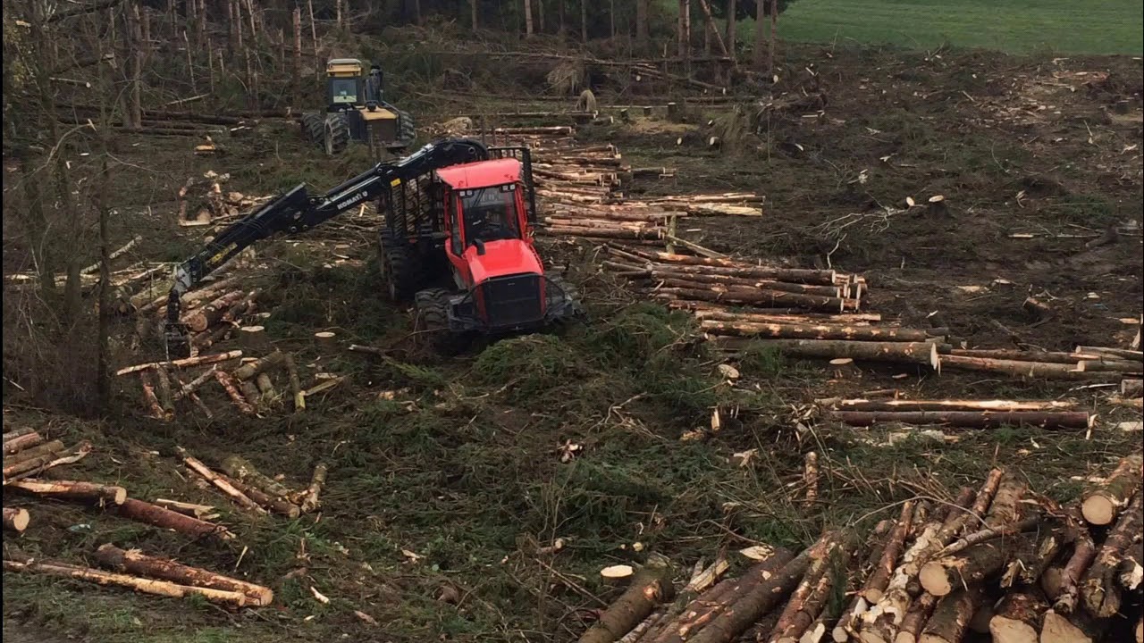 Work in the Woods (Pr&aacute;ca v lese)
