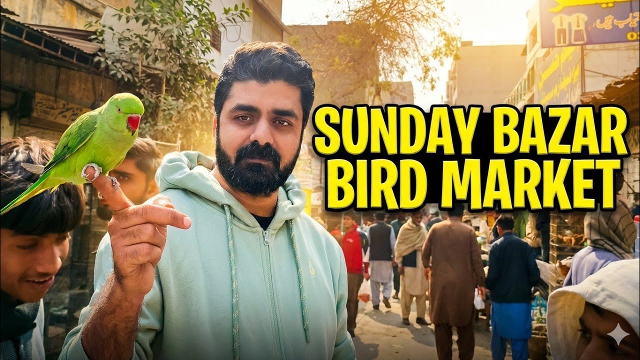 Sunday Bazar Birds Market | 3rd vlog  #petsvlogging #villagelife #petshub #cats #budgies