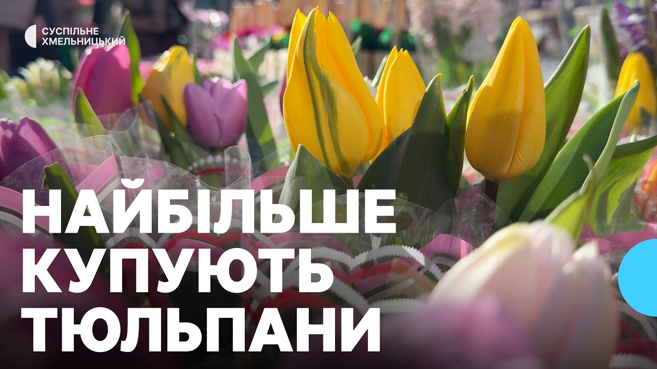 Перед 8 березня у Хмельницькому зростає попит на тюльпани