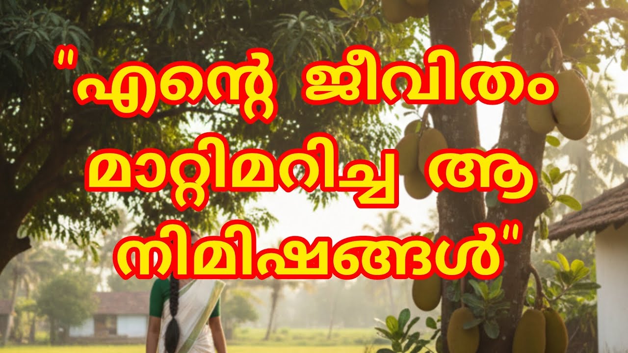 മനസ്സിലെ ഭാരം കുറയ്ക്കാൻ ഒരു നടത്തം.. പിന്നെ നാടൻ ചക്കക്കുരു കറിയും
