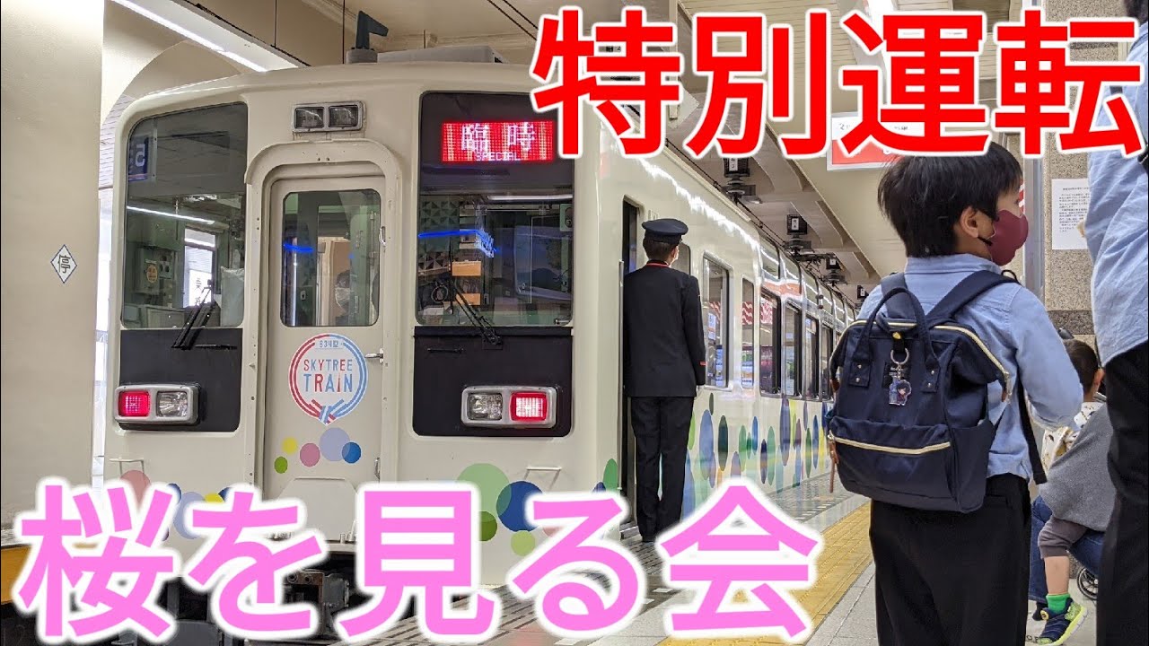 【特別運転】一駅だけの臨時列車 スカイツリートレインでセルフ桜を見る会を敢行