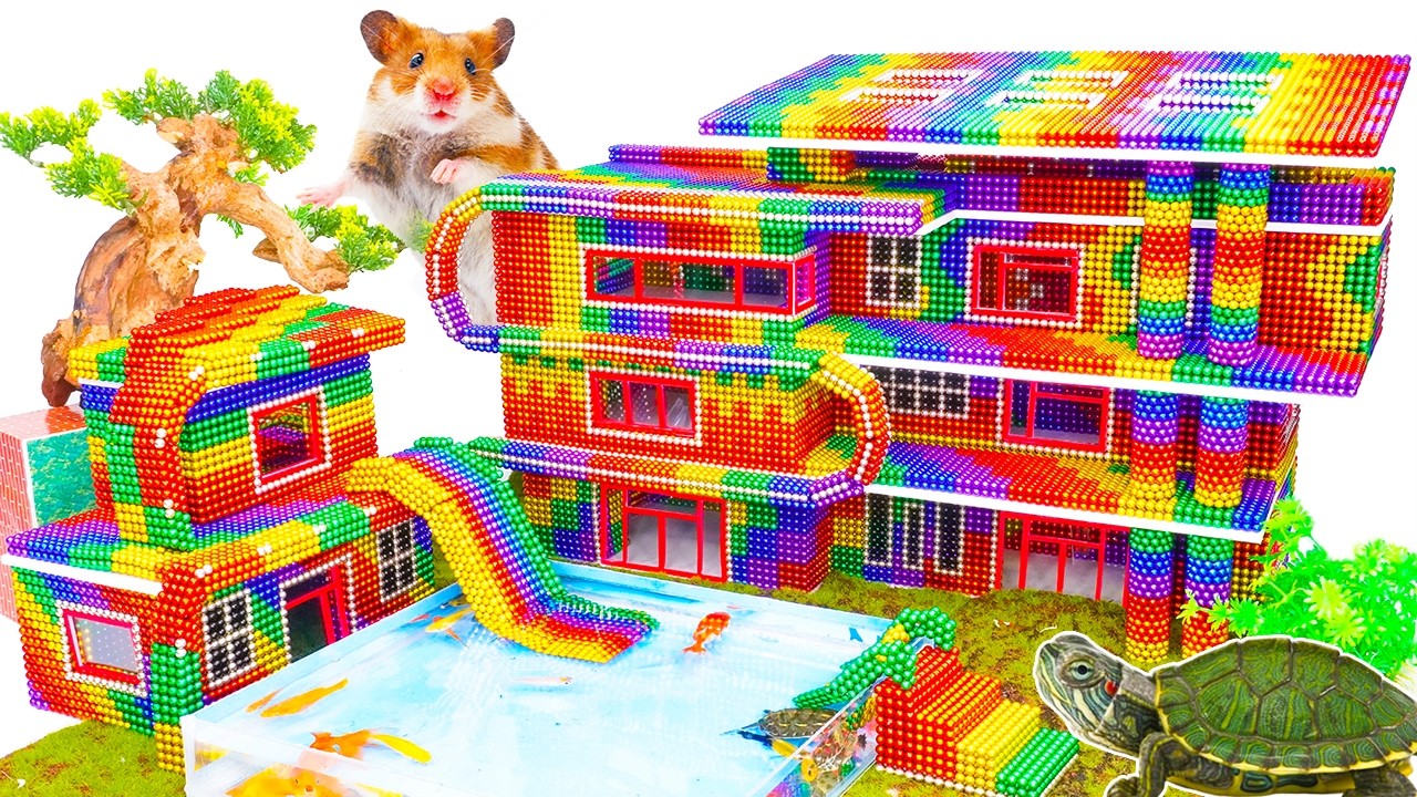 DIY - Build Olympic Water Sports Stadium For Hamster and Axolotl From Magnetic Balls Satisfying ASMR