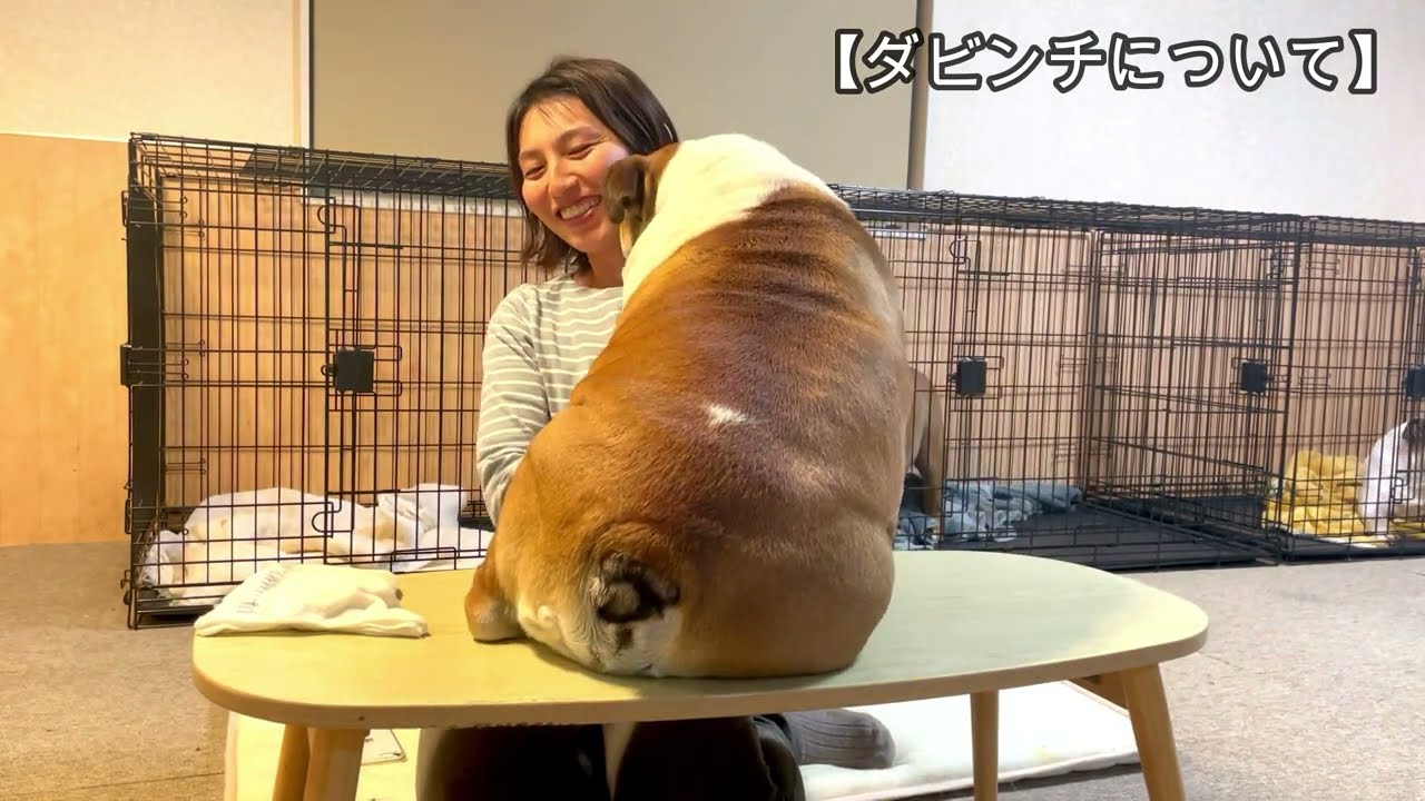 ダビンチについて
