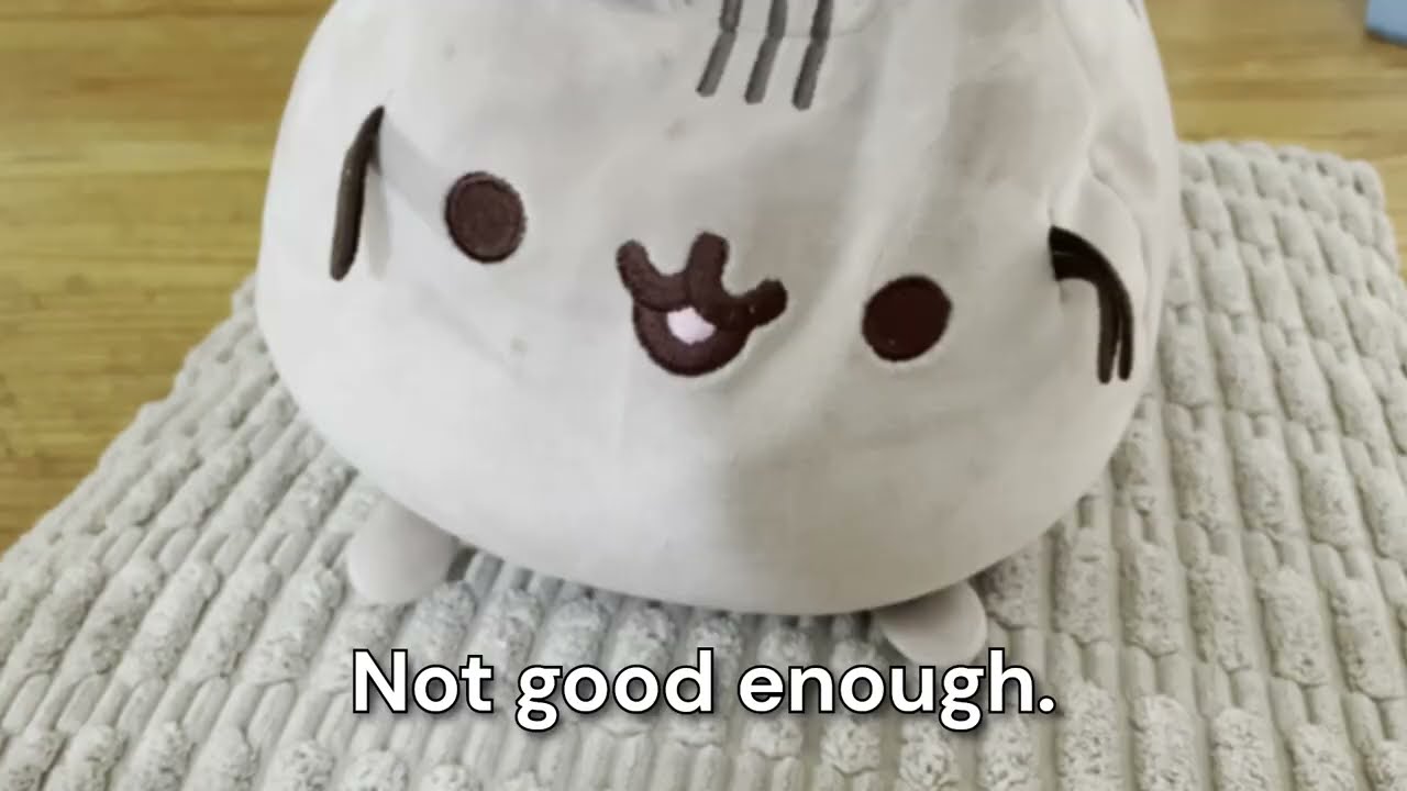 How to take care of your Pusheen plush