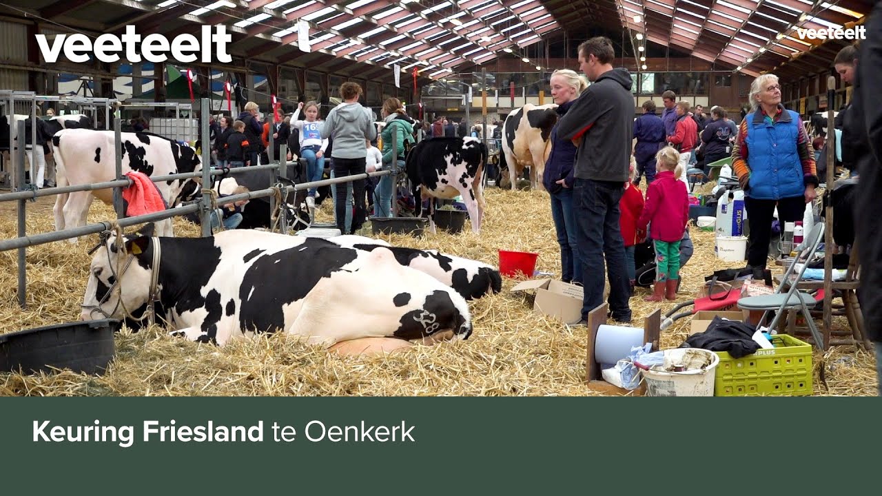 Keuring Friesland te Oenkerk