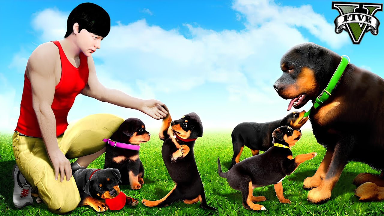 ကျနော့်ခွေးအောင်နက် မိန်းမရပြီး ခွေးပေါက်လေးတွေမွေးခဲ့တယ် | My Dog Puppies in GTA V | SMART On Live