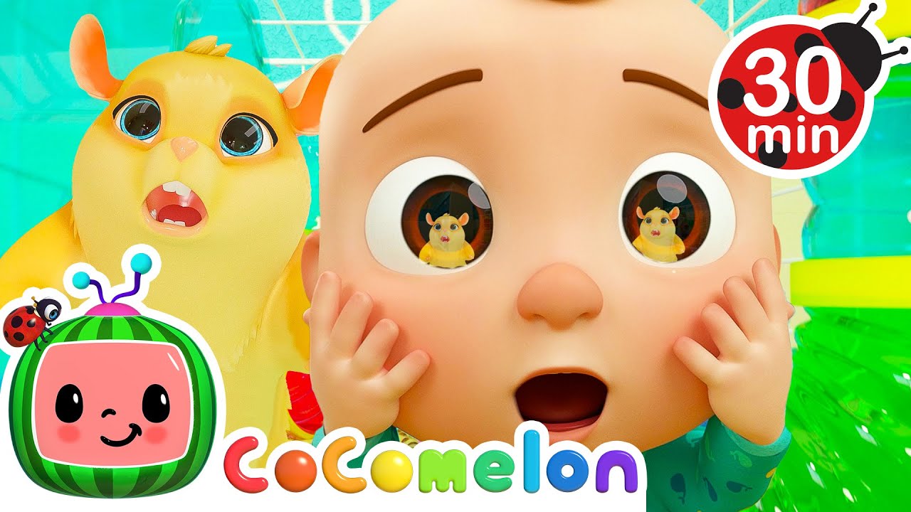 Lost Hamster Song + More CoComelon Animal Time | Animals for Kids